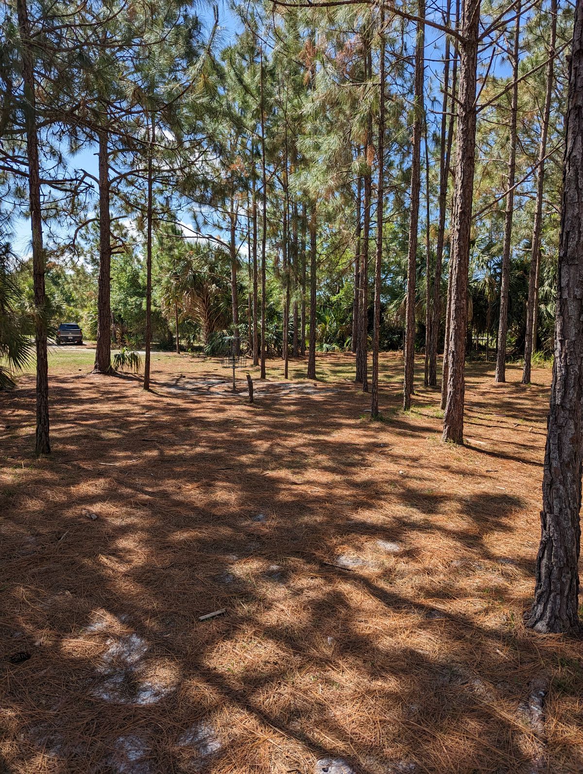 Hole 18 Basket
