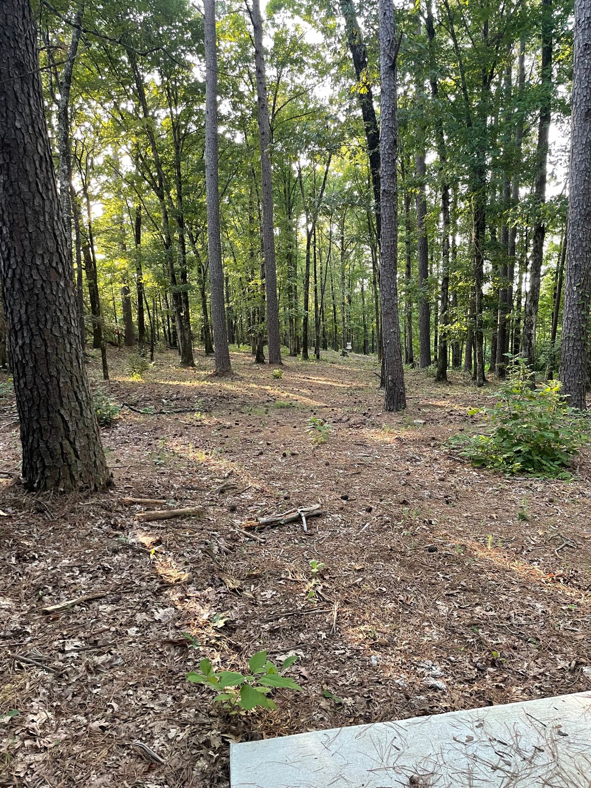 Hole 16 cleared