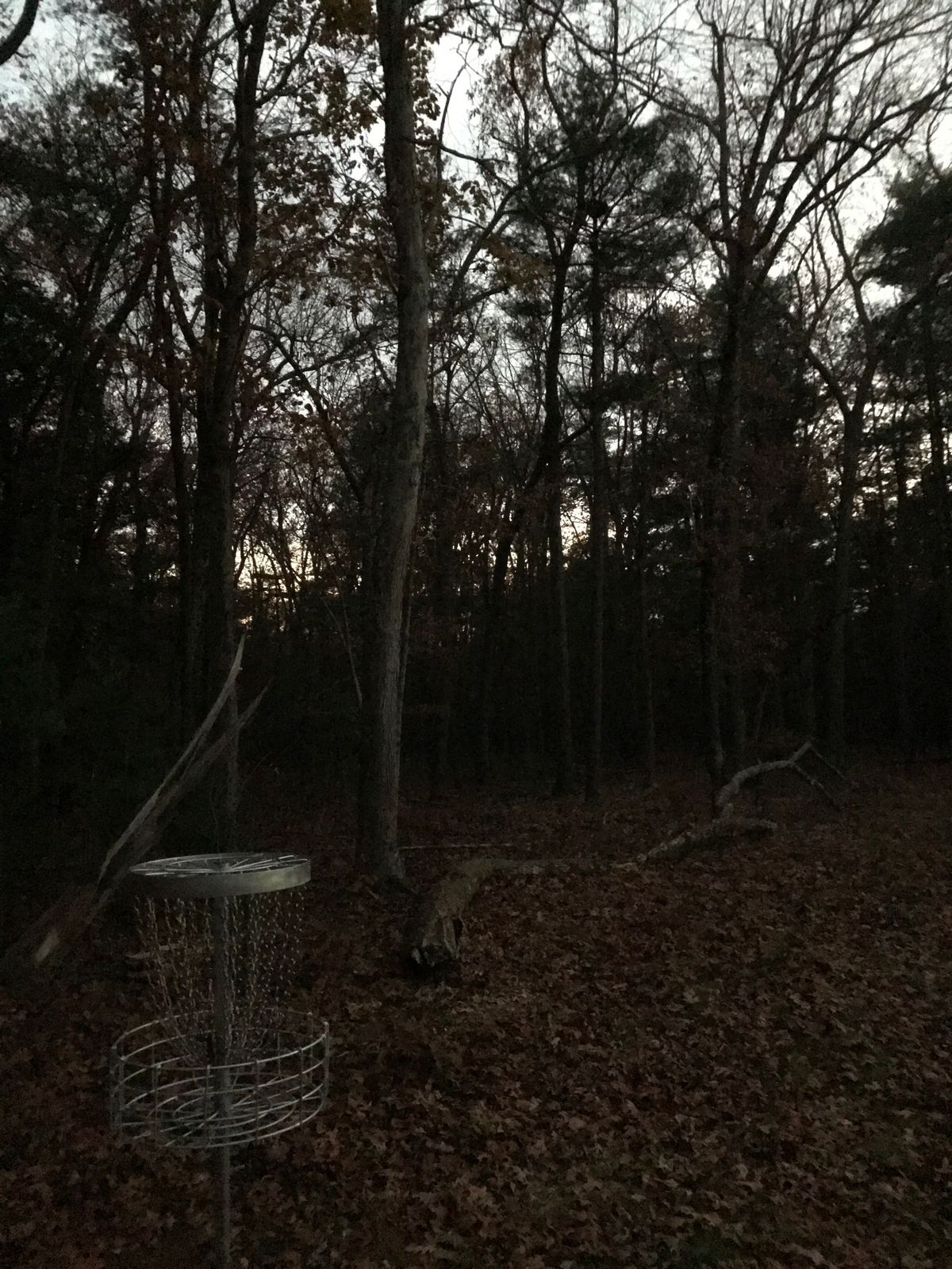 9th basket at woods’ edge