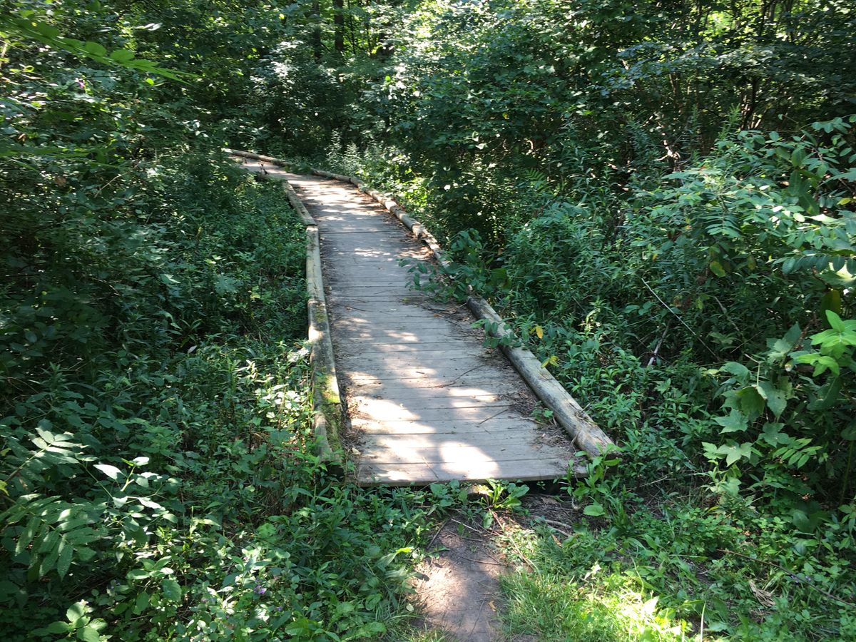 Walkway to 12