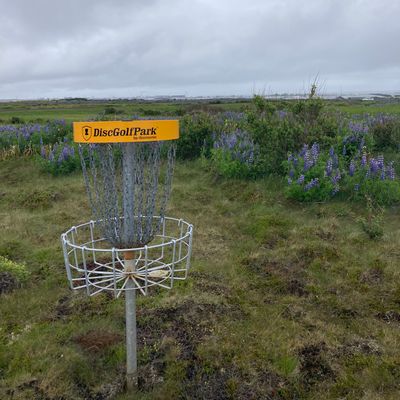 Course photo