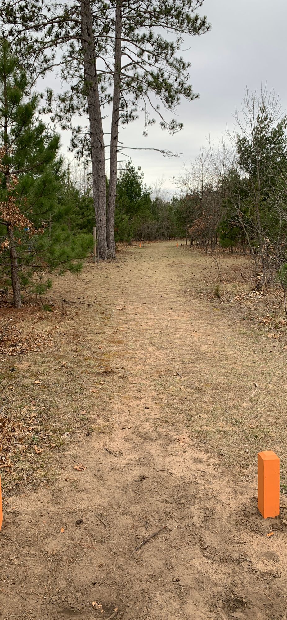 Hole 3 tee. The best hole on the course… which isn’t saying much.