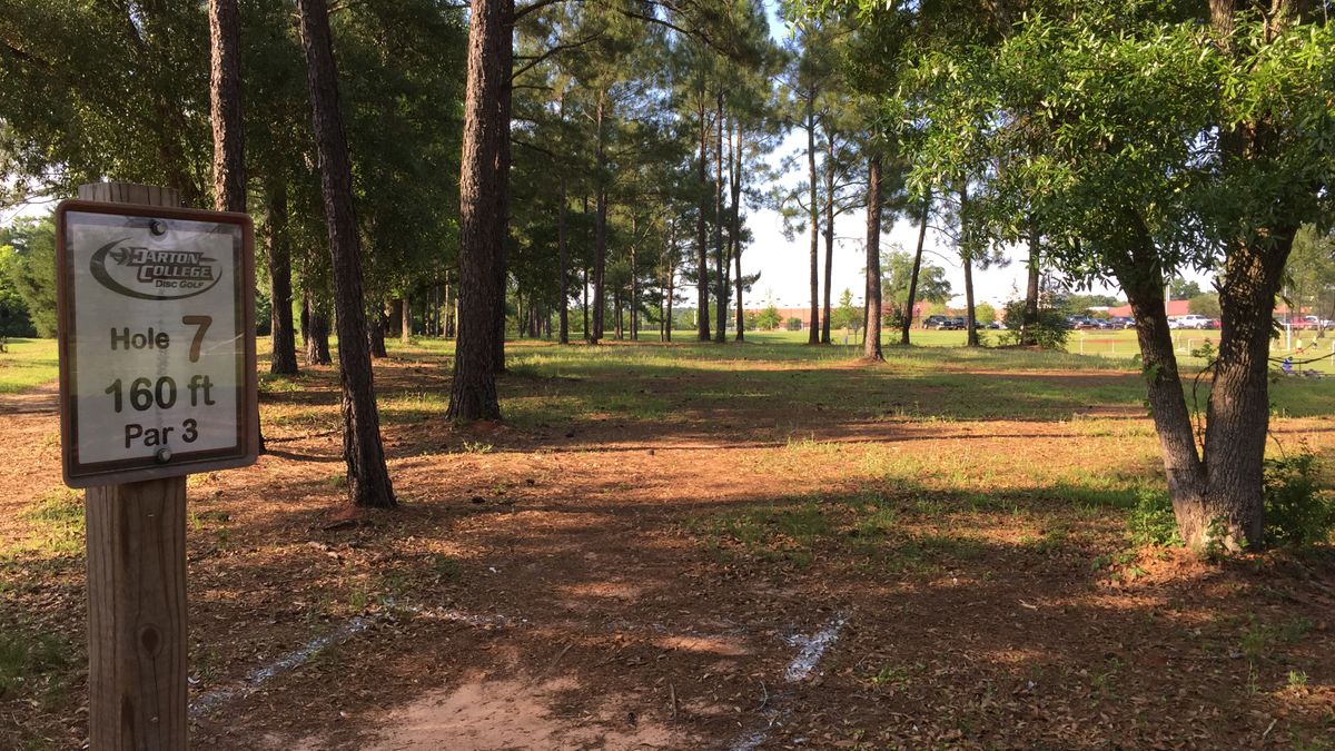 Hole 7