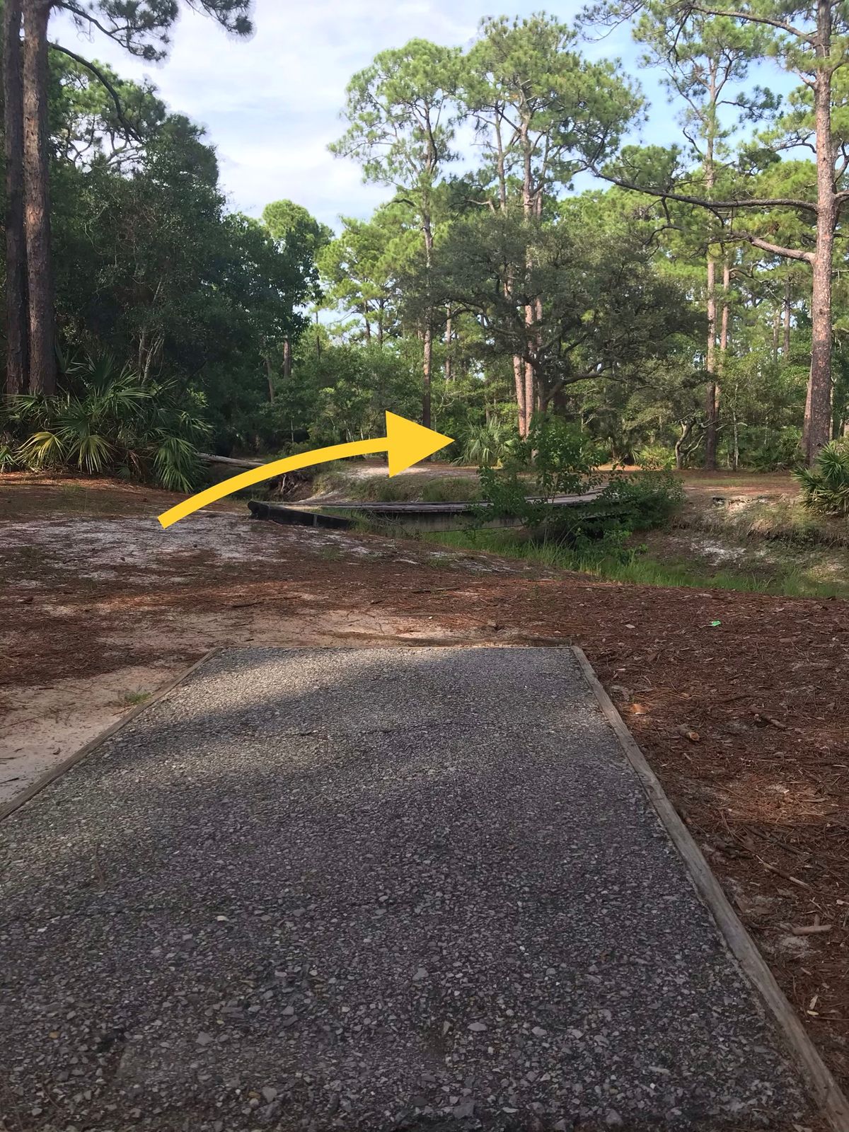 Amateur tee, 2nd hole