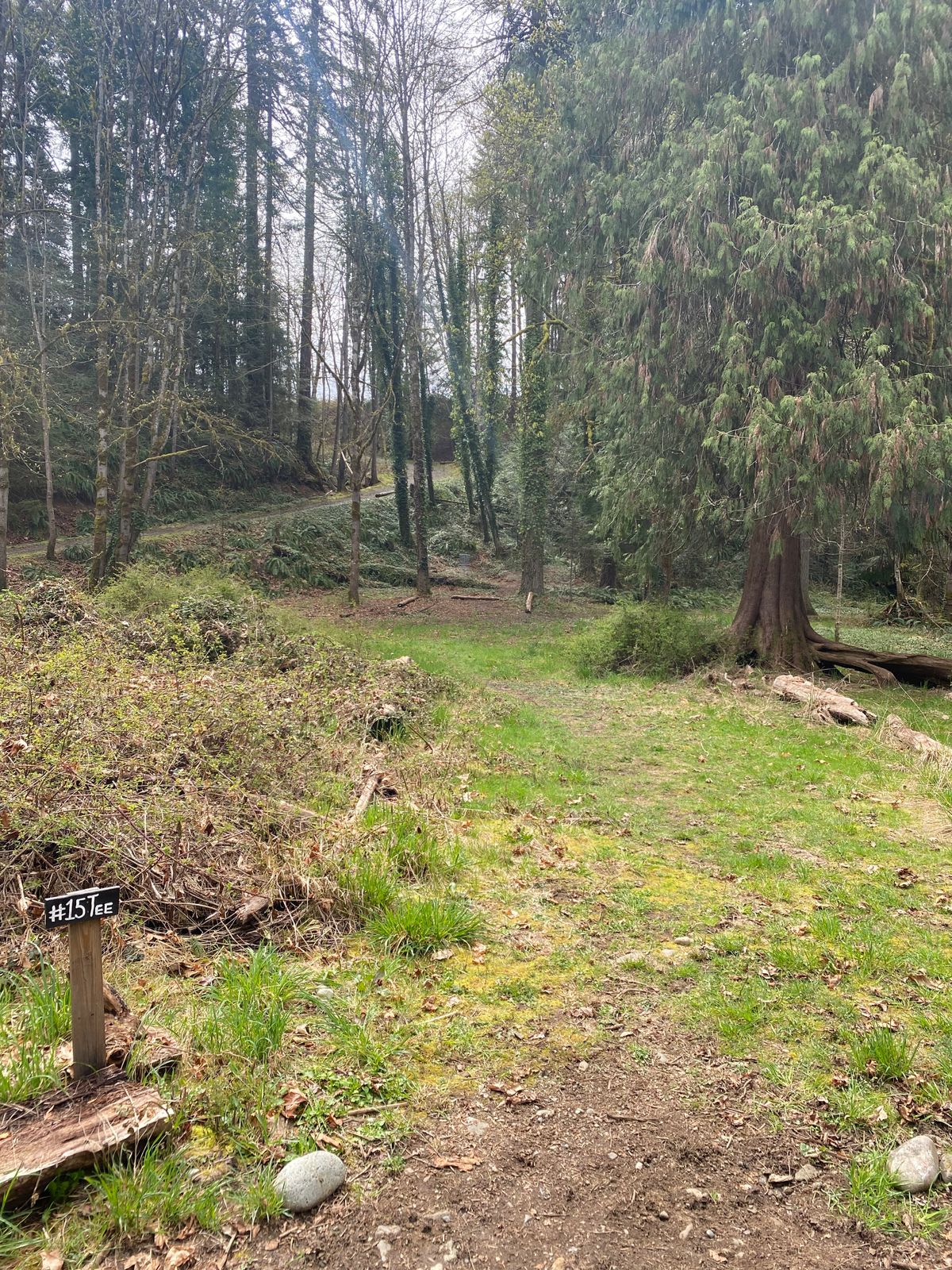 Hole 15