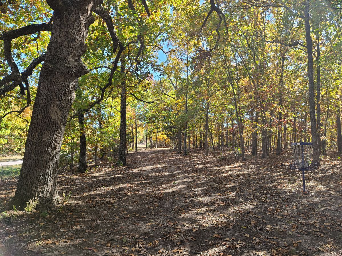Hole 8 green