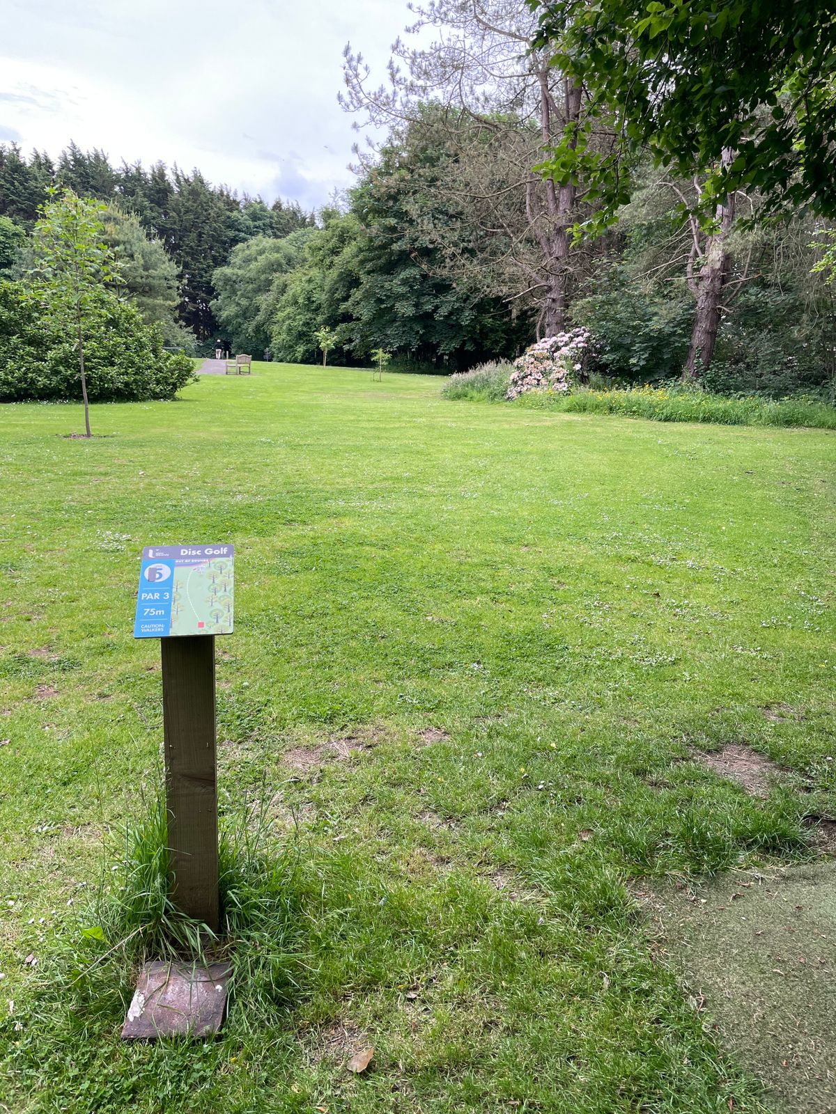 Hole 6 tee pad