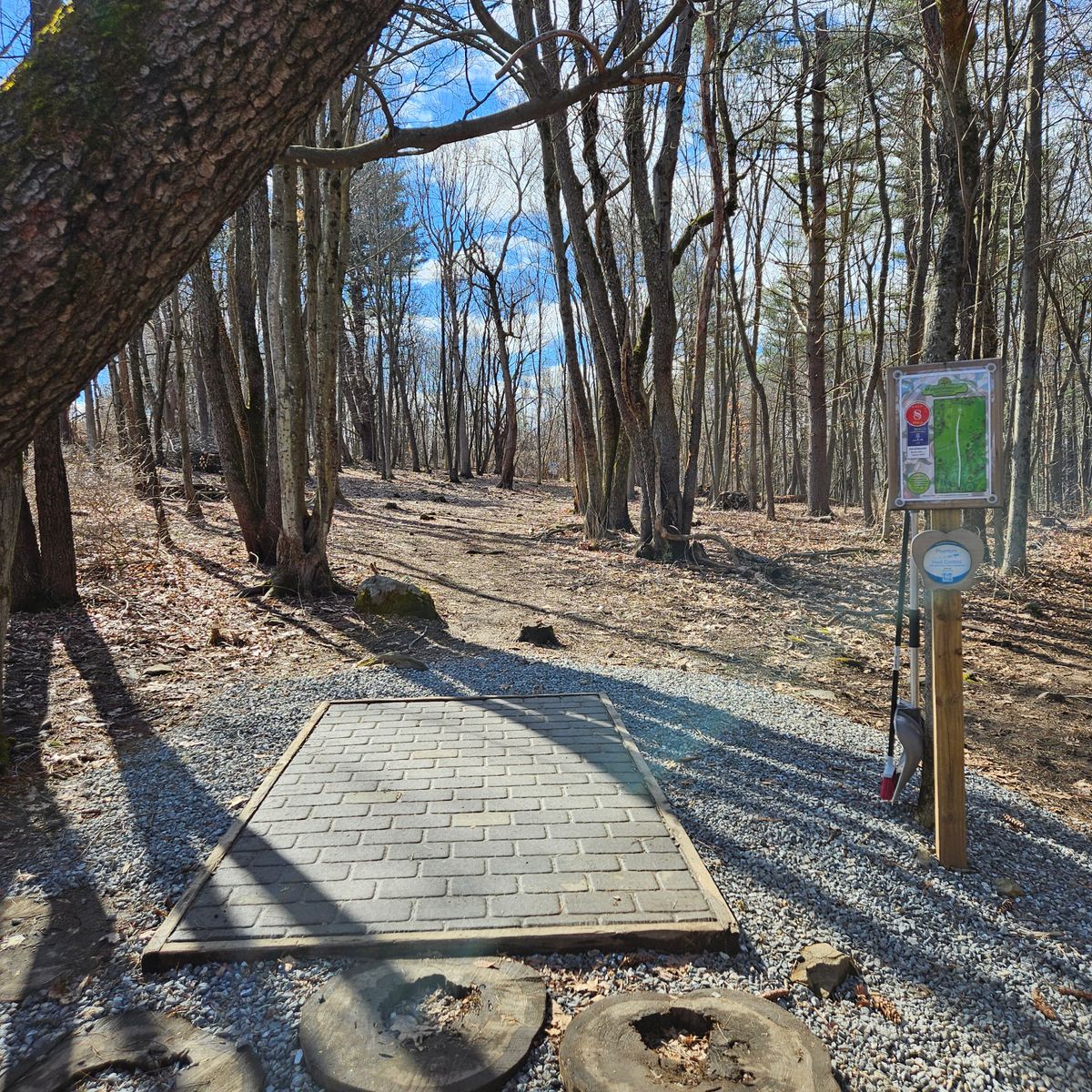 Hole 8 Red Tee Pad