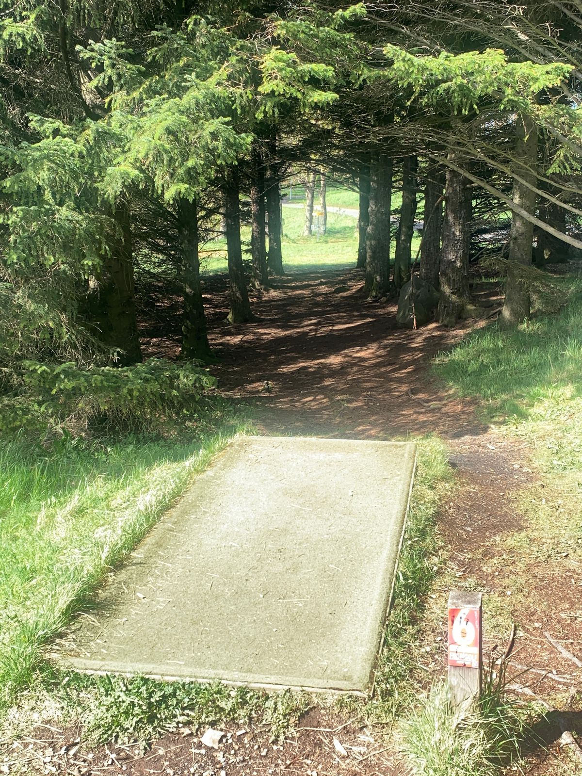 Fairway hole 6 🌲