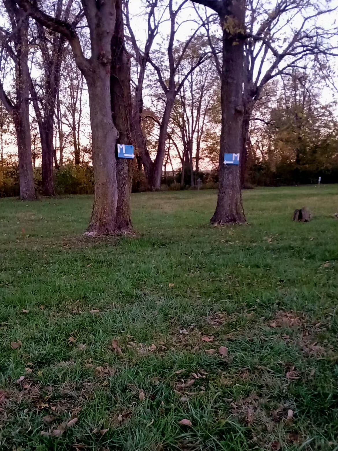 Hole 5 Long looking through the double mando