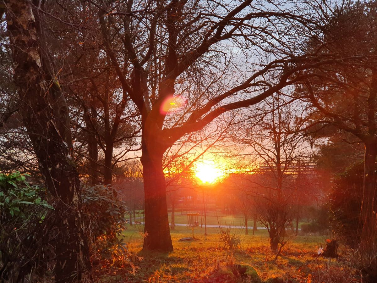 Sunset over Springburn