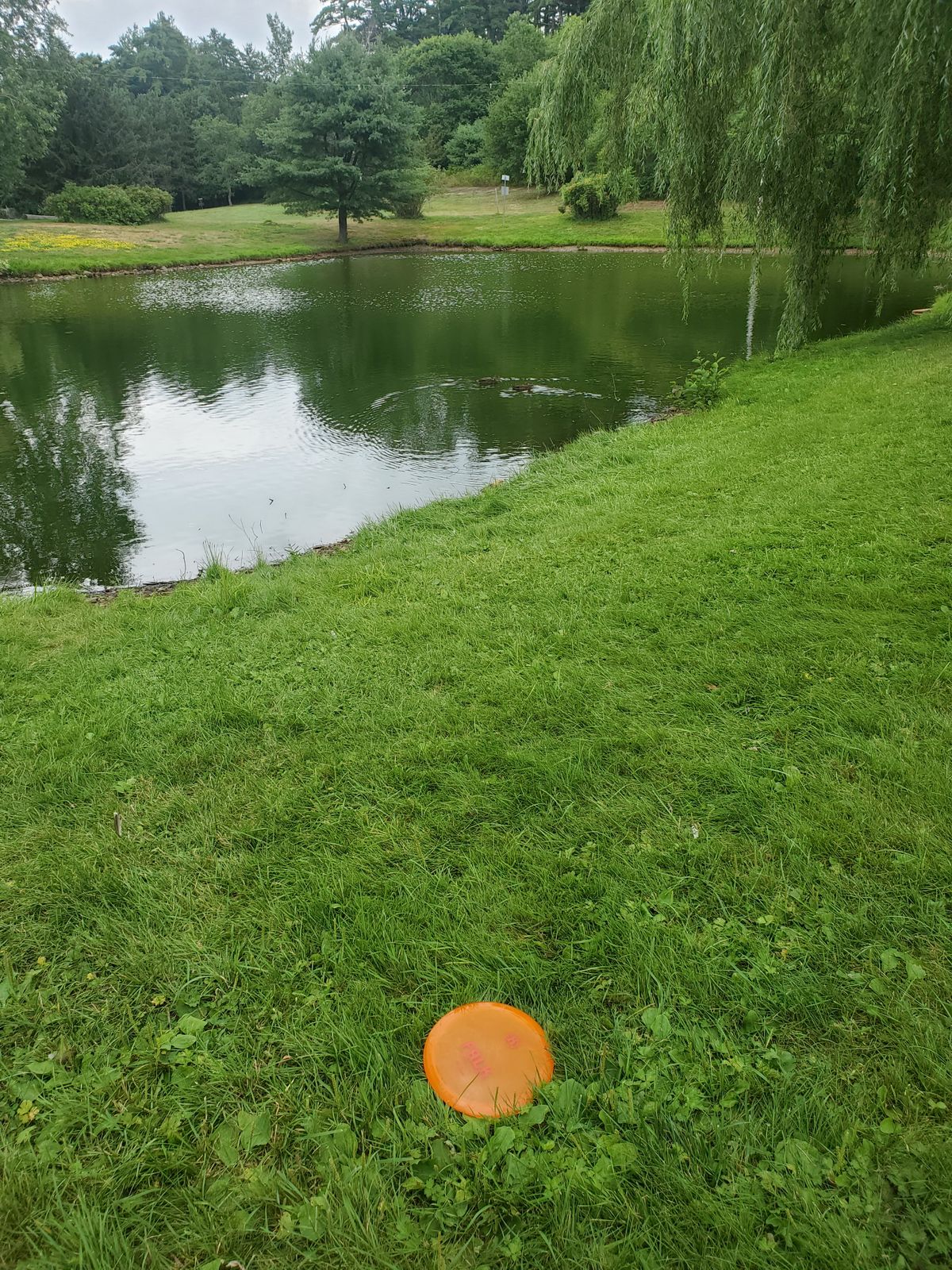 Look back to tee box 18