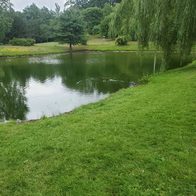 Look back to tee box 18