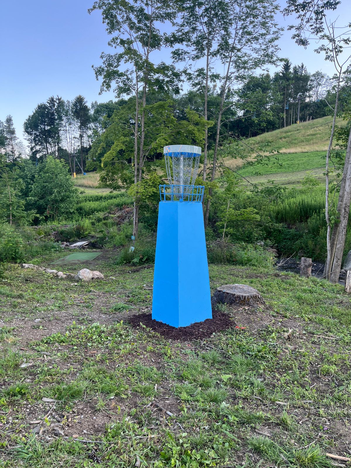 Hole 17 basket
