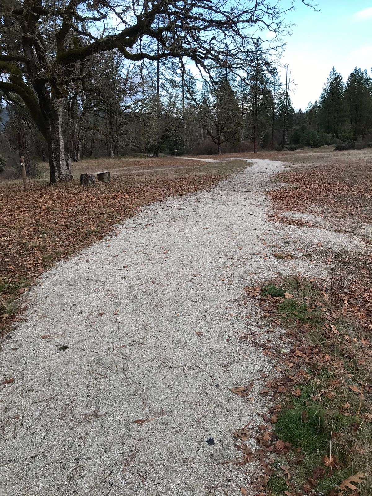 Fairway 2 once over ridge looking @ basket-short tee 2 on left