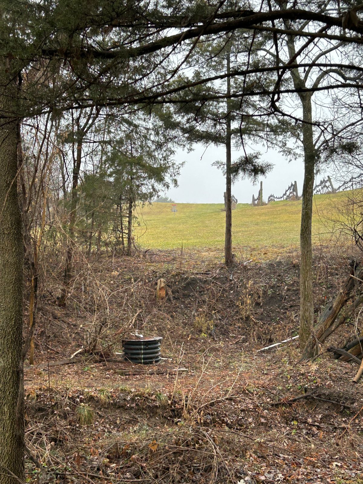 Hole 4 Tee box