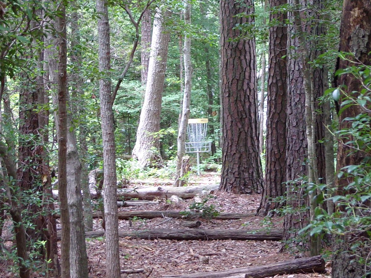 View of the tunnel shot at hole 10.