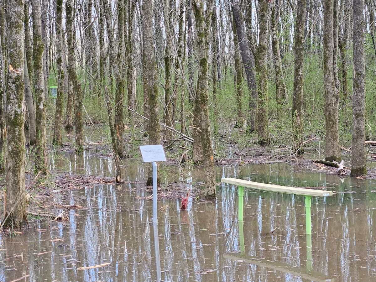 "Good Conditions"