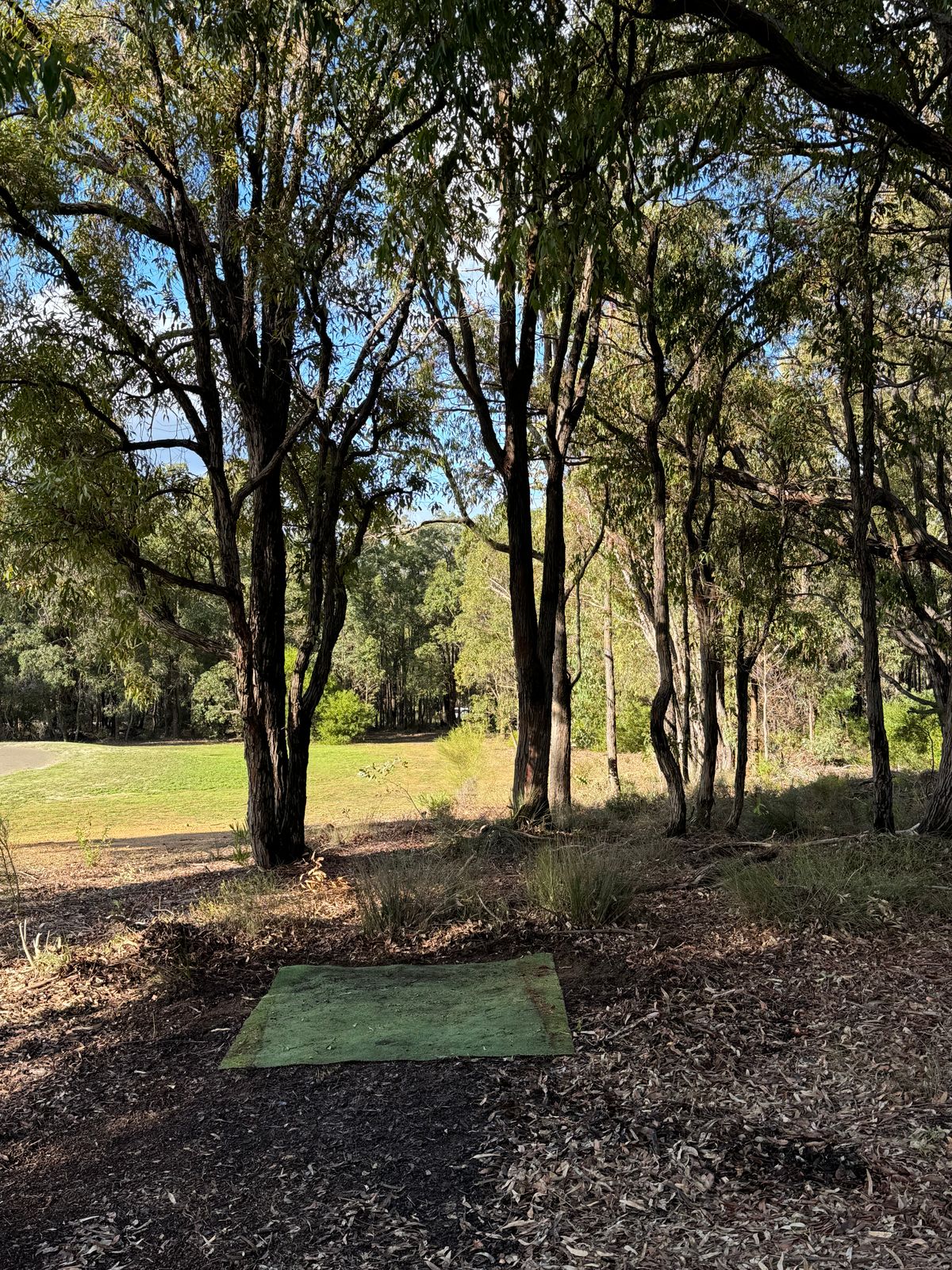 Hole 10 Orange