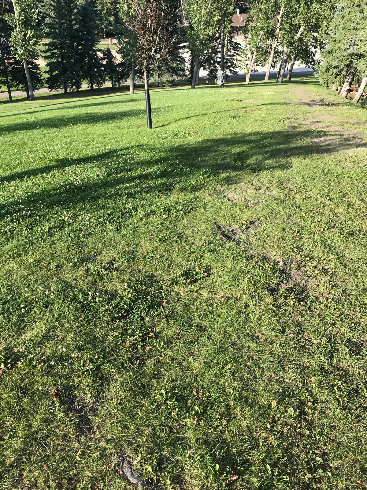 Hole 6