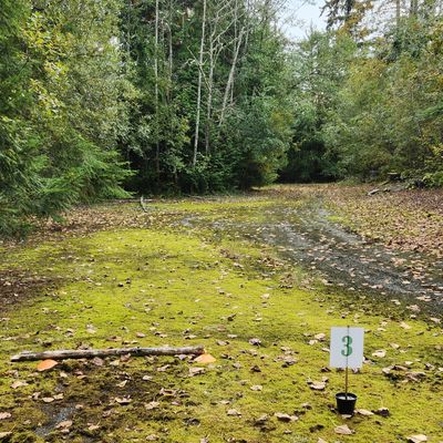Hole 3