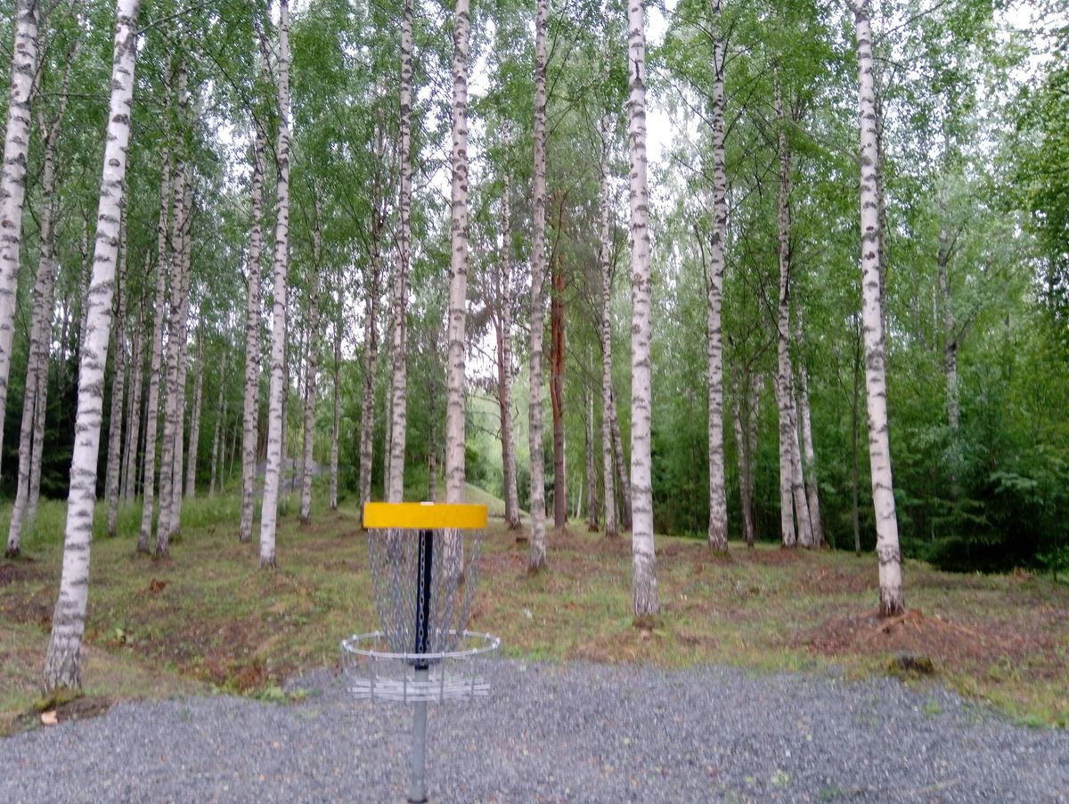 Väylän #7 kori (13.7.2023).