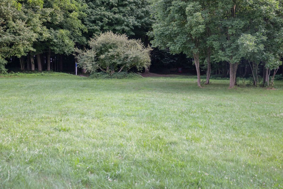 Hole 14 - approach
