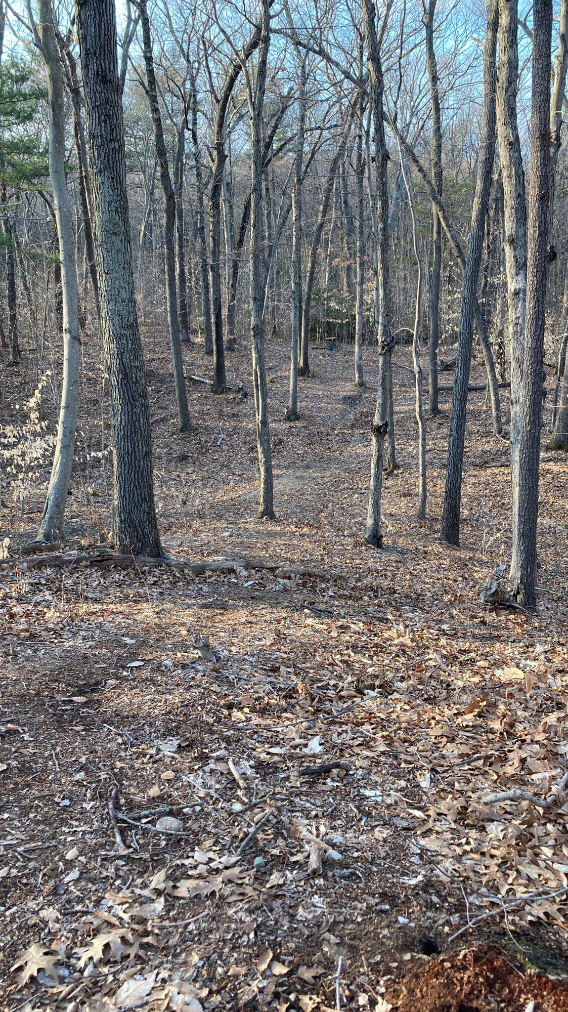 The Back Course’s