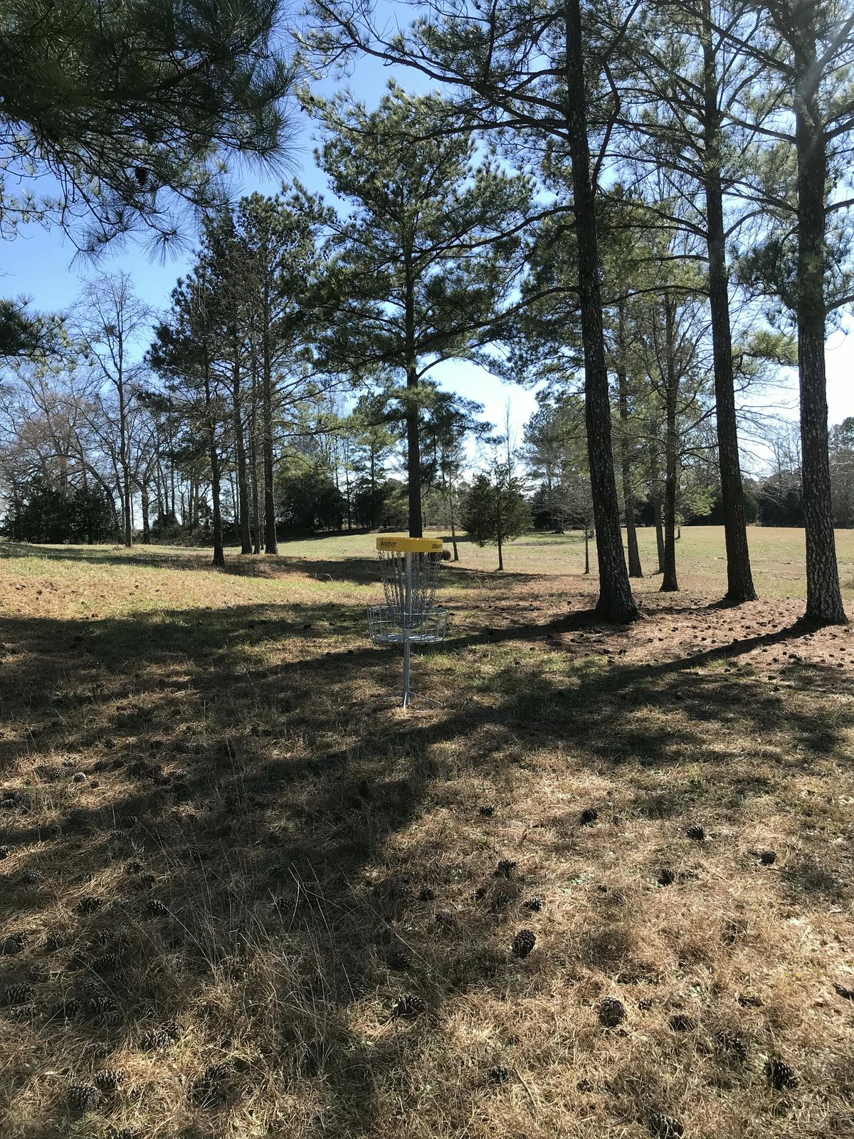 Hole 16 - basket to tee