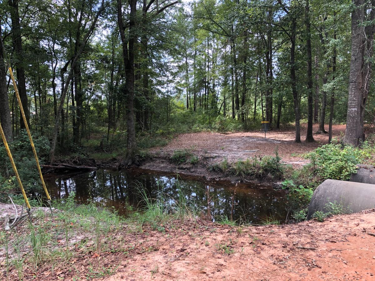 Hole 11 Drain