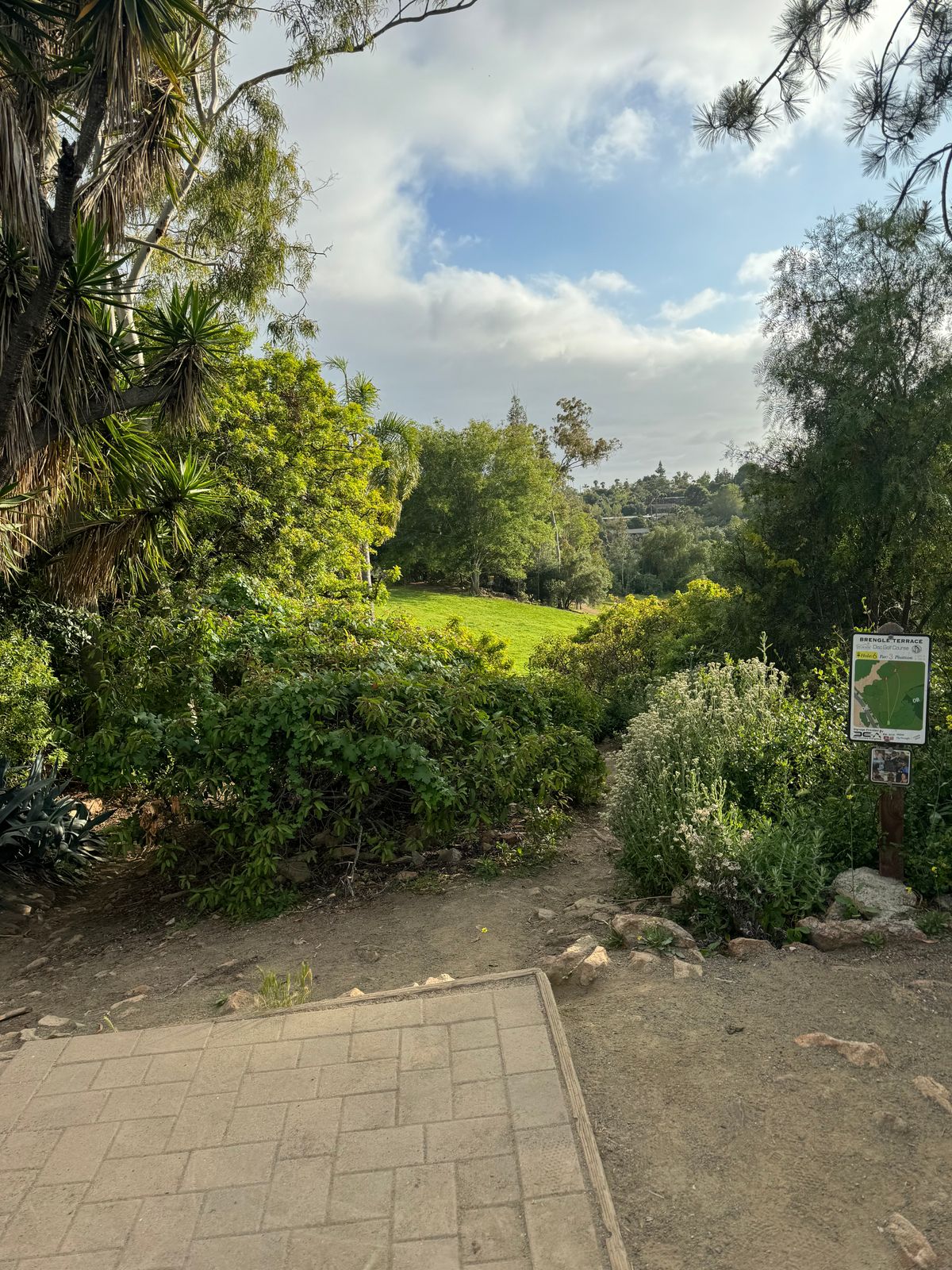 Hole 6 tee