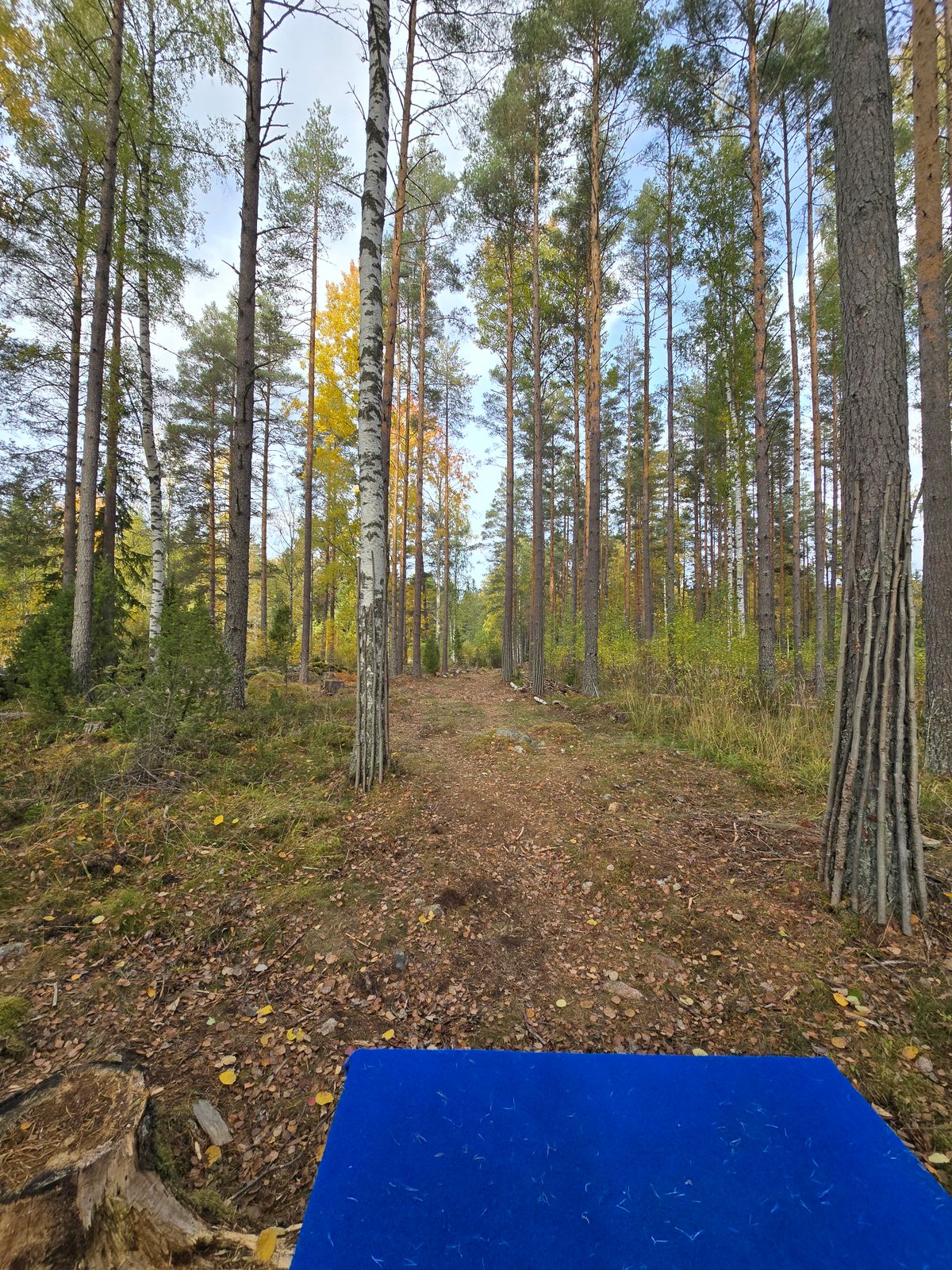 Hål 3