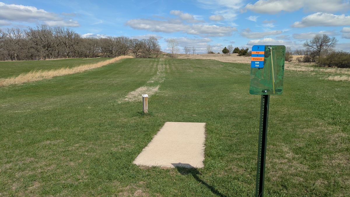 Tee #7
