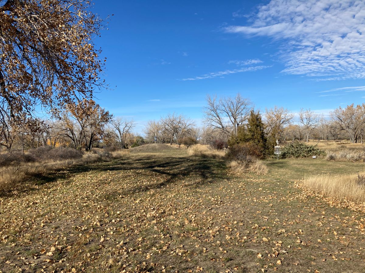 Hole 2 fairway, white basket on the right, blue basket further back on a knoll