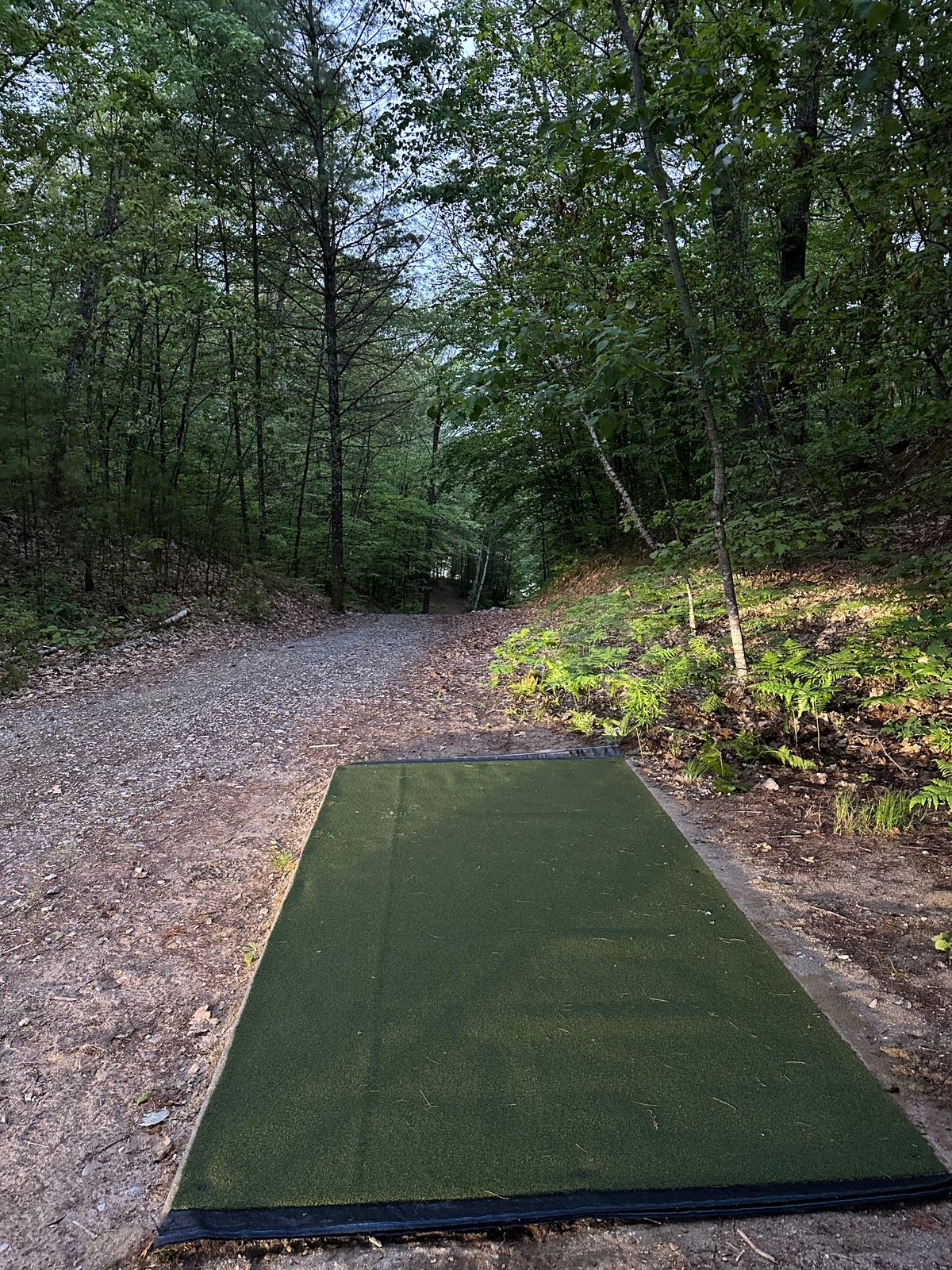 Hole 12 Tee