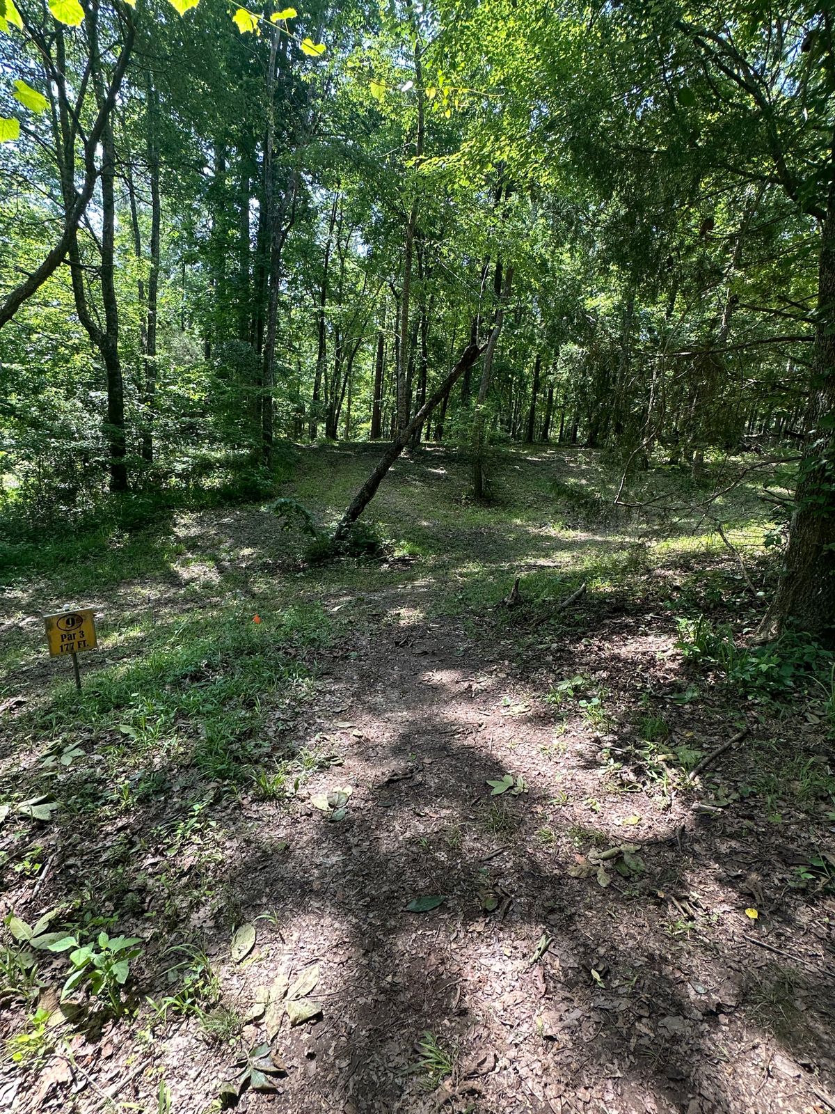 Hole 9 tee