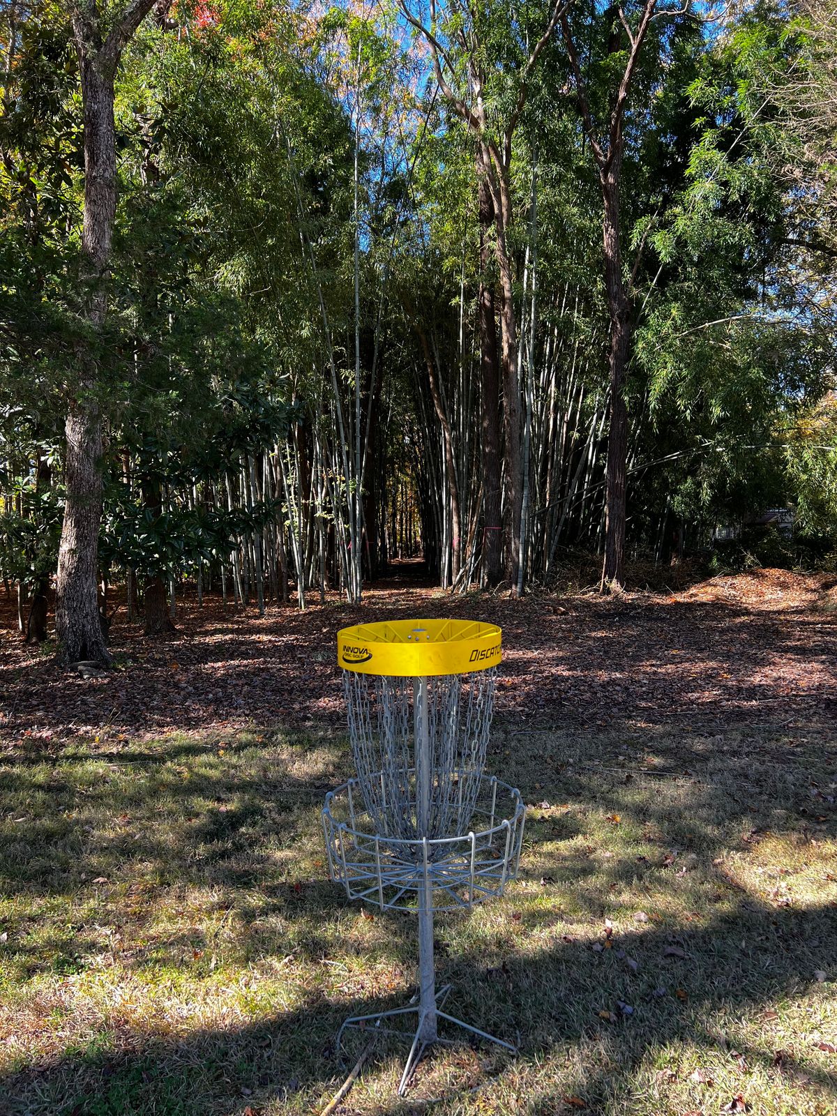 Hole 3 green looking back at tee