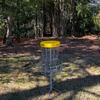 Hole 3 green looking back at tee