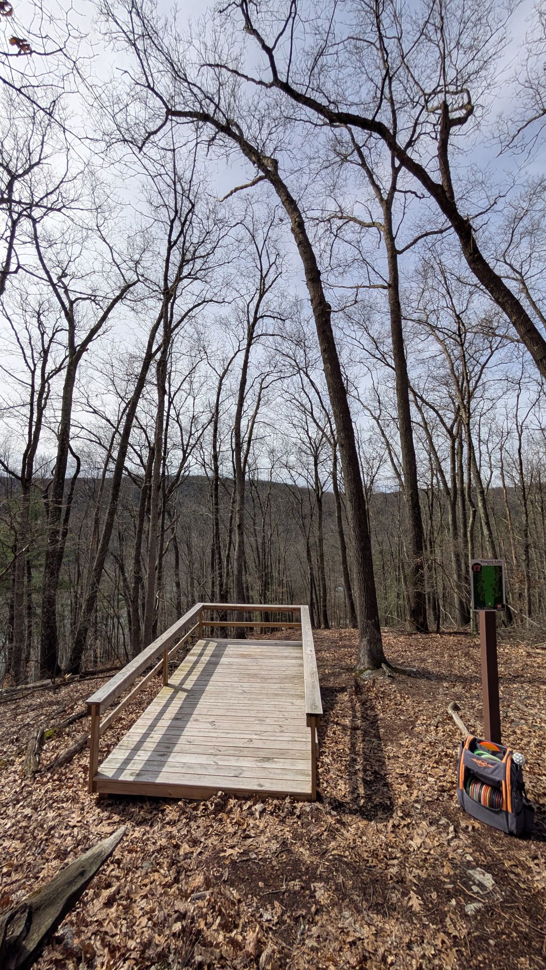 Hole 17 tee