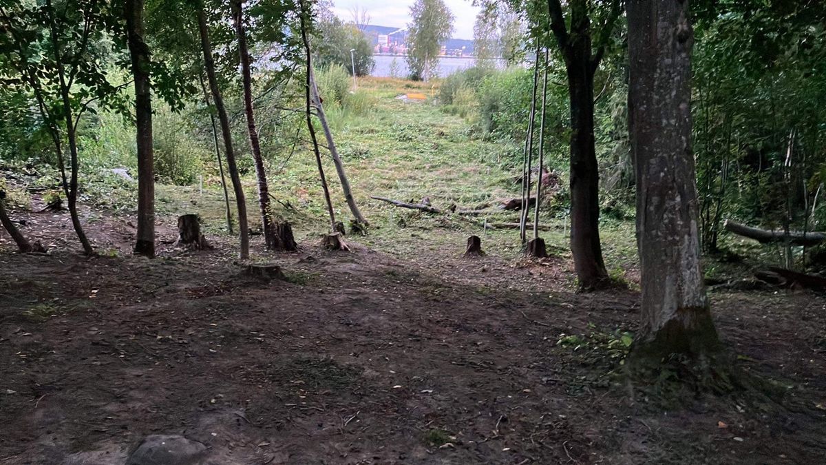 Hål 13, Fairway mot tee