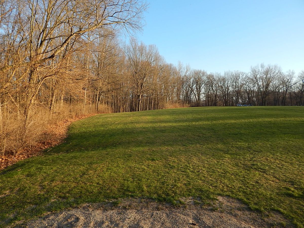 Hole five fairway, basket slightly downhill, 40 ft passed treeline