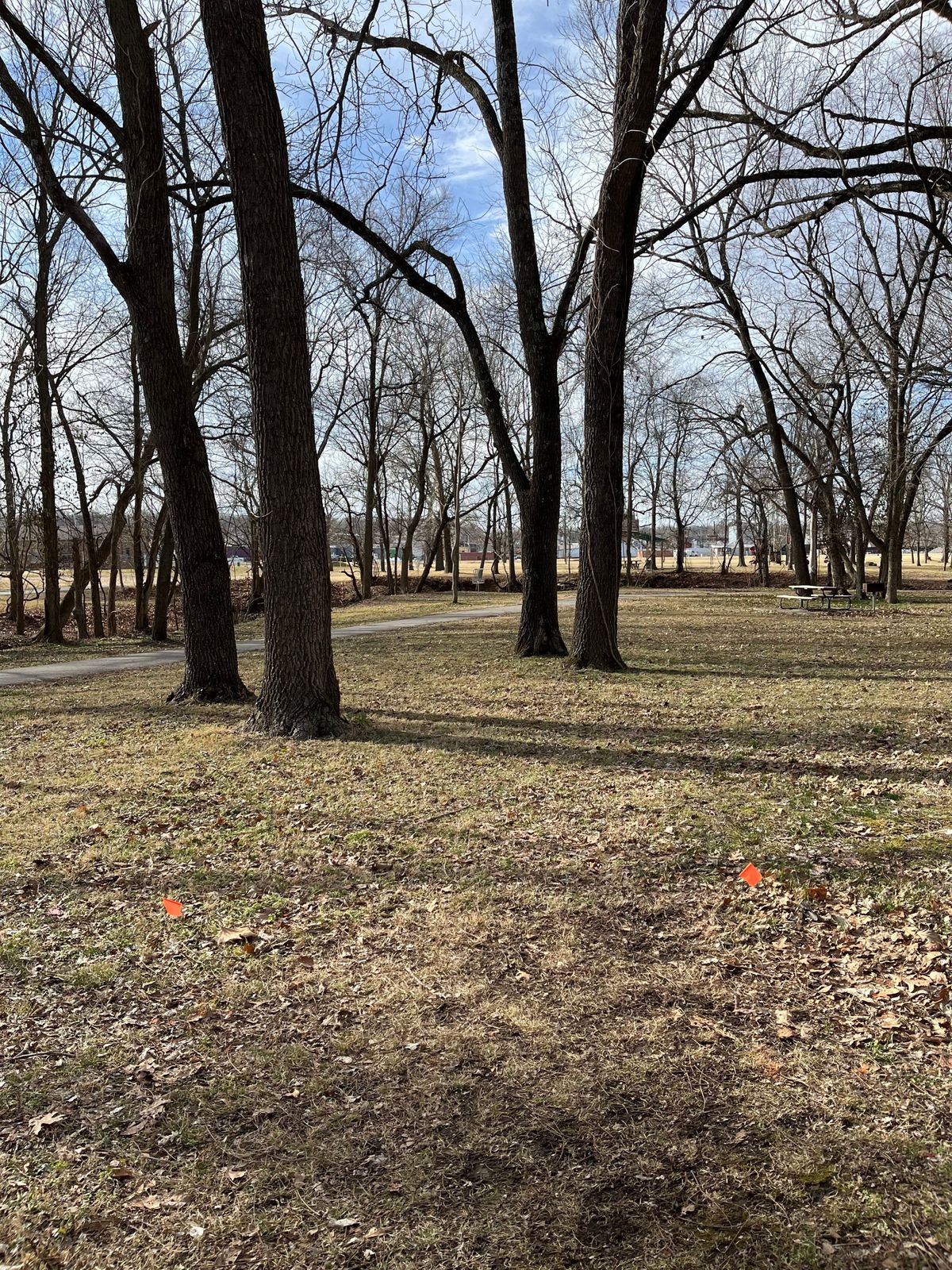 Hole 5