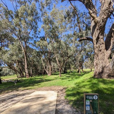 Hole 7