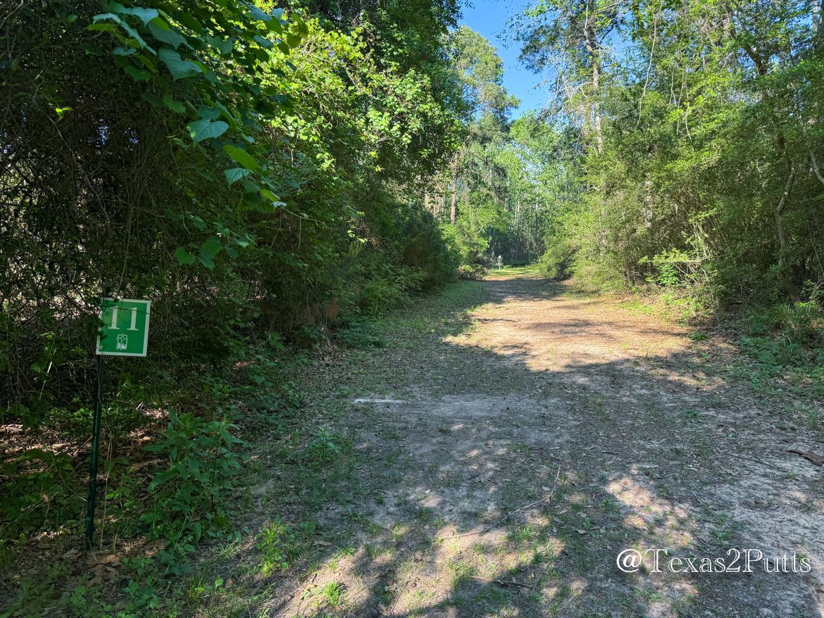 Hole 11