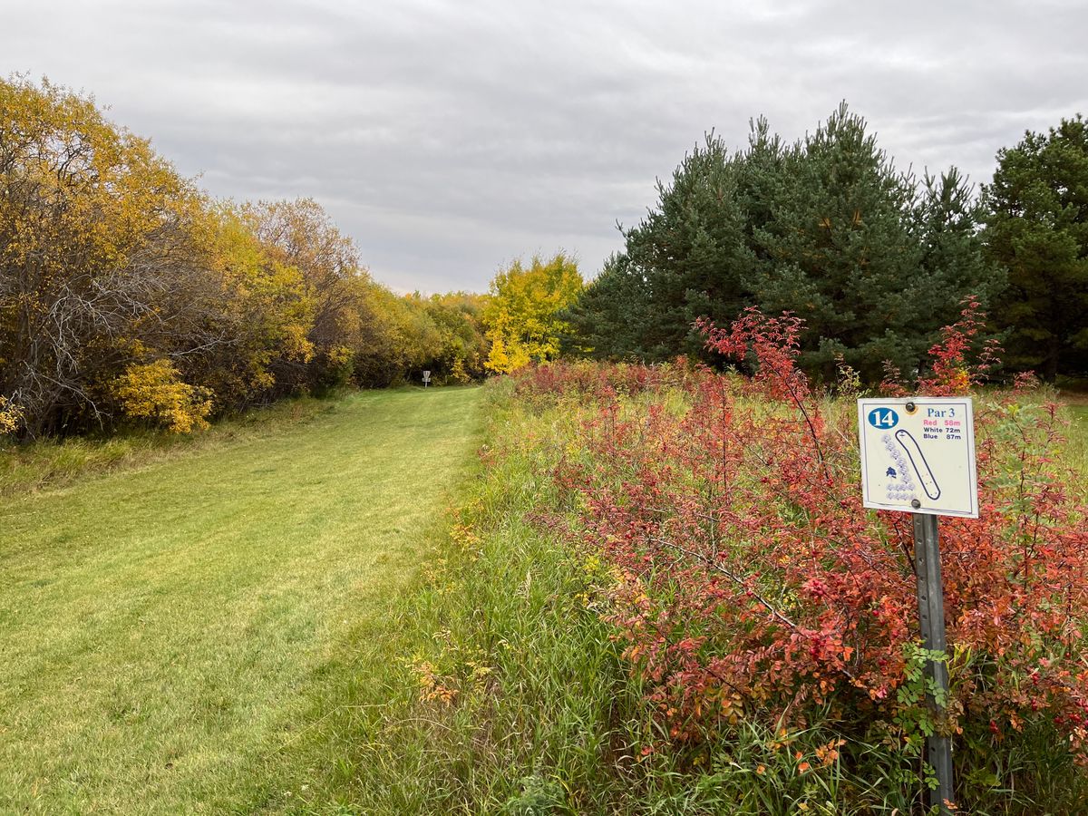 Hole 14