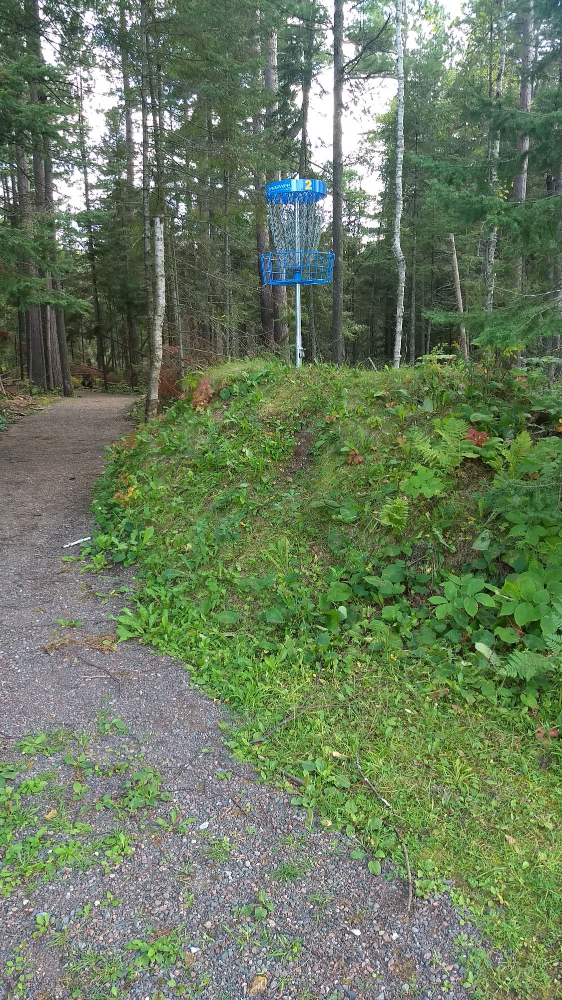 Hole 2. Elevated basket