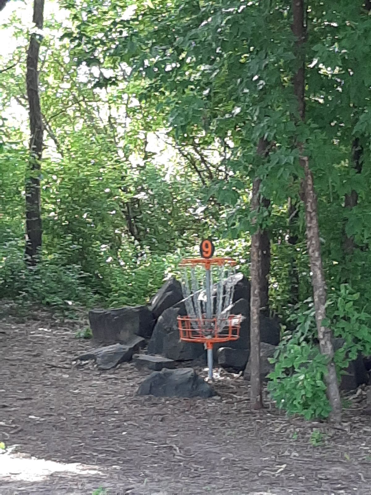Hole #9