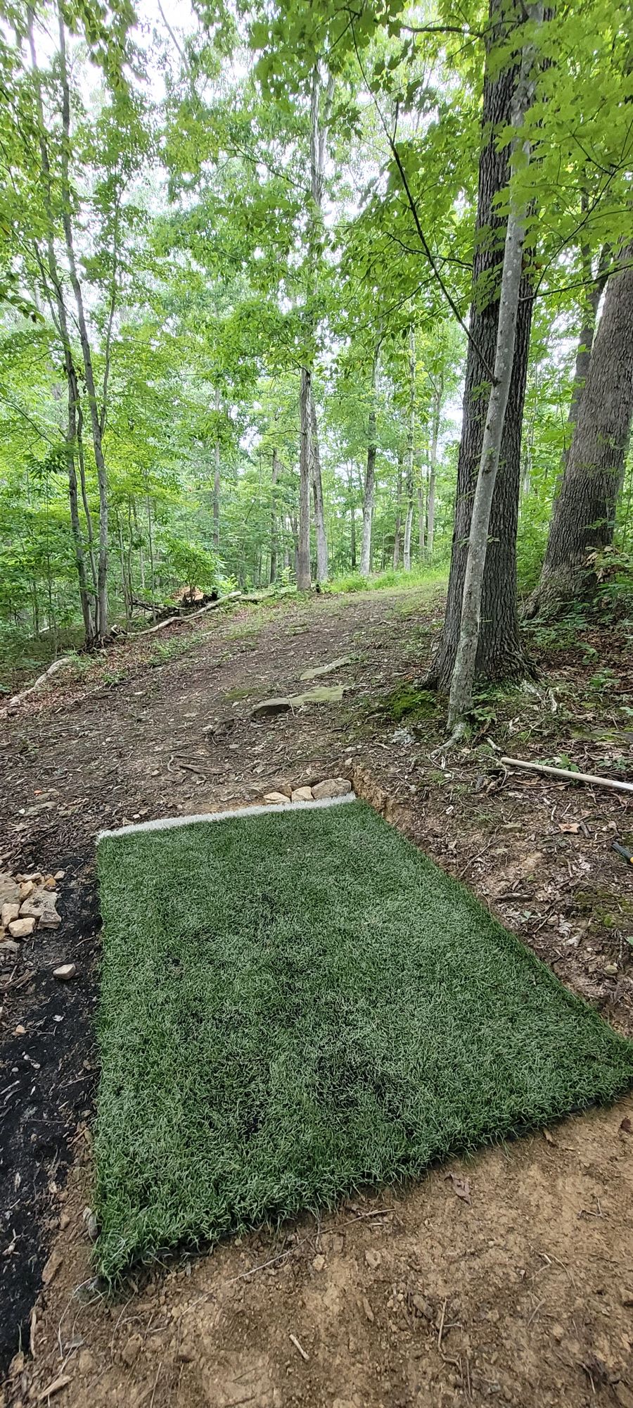 Hole 6