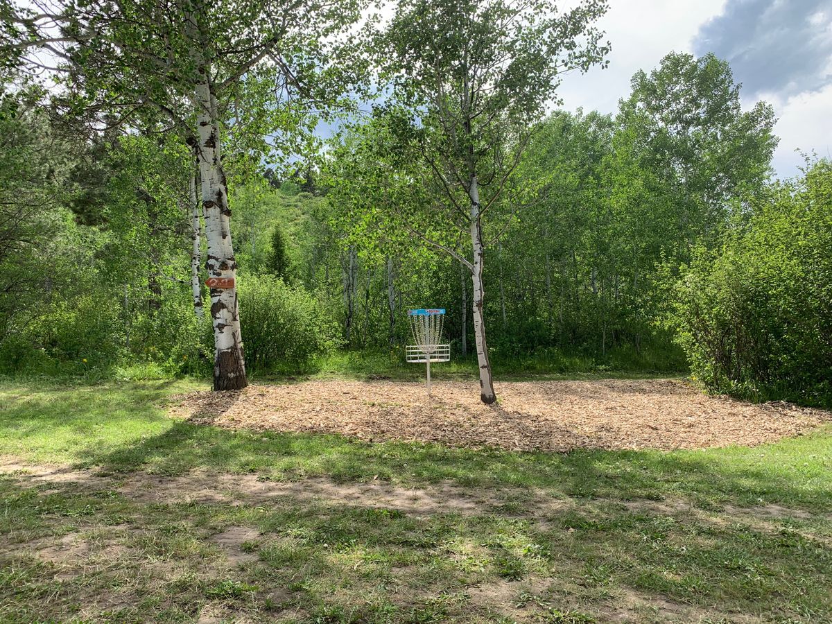 Basket Hole 1 A