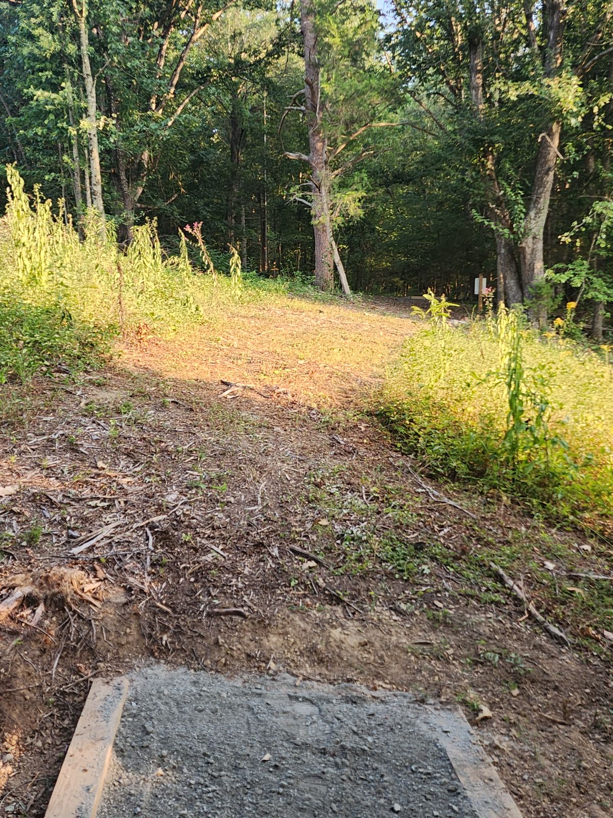 Hole 17
Throw toward basket for hole 8